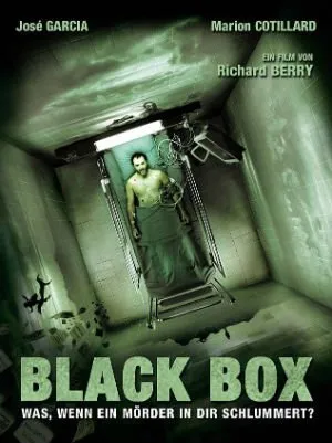 Juodoji dėžė