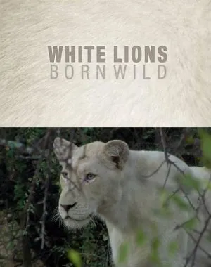 Baltieji liūtai: Gimę laisvėje