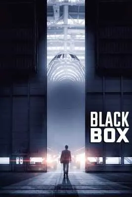 Juodoji dėžė
