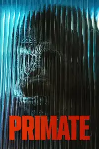 Primatas